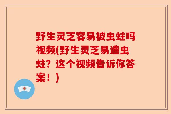 野生灵芝容易被虫蛀吗视频(野生灵芝易遭虫蛀?这个视频告诉你答案!)-第1张图片-卓越灵芝孢子粉 野生灵芝容易被虫蛀吗视频(野生灵芝易遭虫蛀?这个视频告诉你答案!)-第1张图片-卓越灵芝孢子粉