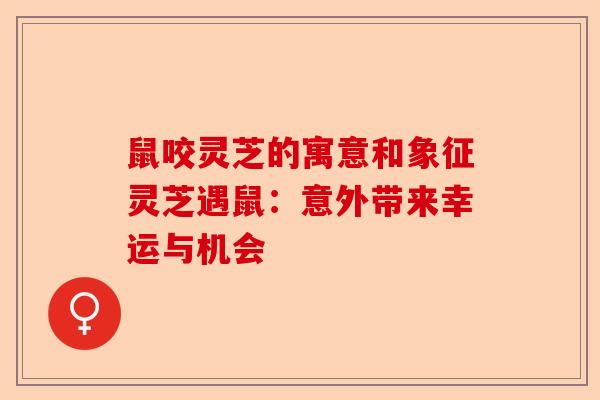 鼠咬灵芝的寓意和象征灵芝遇鼠:意外带来幸运与机会-第1张图片-卓越灵芝孢子粉 鼠咬灵芝的寓意和象征灵芝遇鼠:意外带来幸运与机会-第1张图片-卓越灵芝孢子粉
