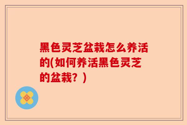 黑色灵芝盆栽怎么养活的(如何养活黑色灵芝的盆栽？)-第1张图片-卓越灵芝孢子粉