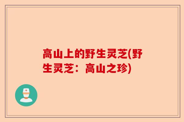 高山上的野生灵芝(野生灵芝：高山之珍)-第1张图片-卓越灵芝孢子粉