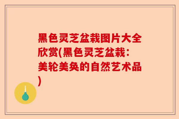 黑色灵芝盆栽图片大全欣赏(黑色灵芝盆栽:美轮美奂的自然艺术品)-第1张图片-卓越灵芝孢子粉 黑色灵芝盆栽图片大全欣赏(黑色灵芝盆栽:美轮美奂的自然艺术品)-第1张图片-卓越灵芝孢子粉