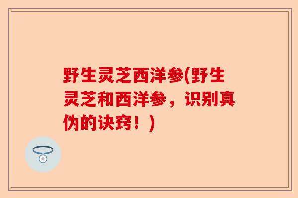 野生灵芝西洋参(野生灵芝和西洋参,识别真伪的诀窍!)-第1张图片-卓越灵芝孢子粉 野生灵芝西洋参(野生灵芝和西洋参,识别真伪的诀窍!)-第1张图片-卓越灵芝孢子粉