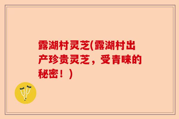 露湖村灵芝(露湖村出产珍贵灵芝,受青睐的秘密!)-第1张图片-卓越灵芝孢子粉 露湖村灵芝(露湖村出产珍贵灵芝,受青睐的秘密!)-第1张图片-卓越灵芝孢子粉