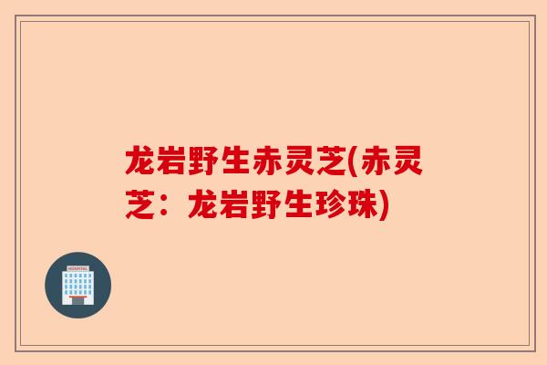 龙岩野生赤灵芝(赤灵芝：龙岩野生珍珠)-第1张图片-卓越灵芝孢子粉