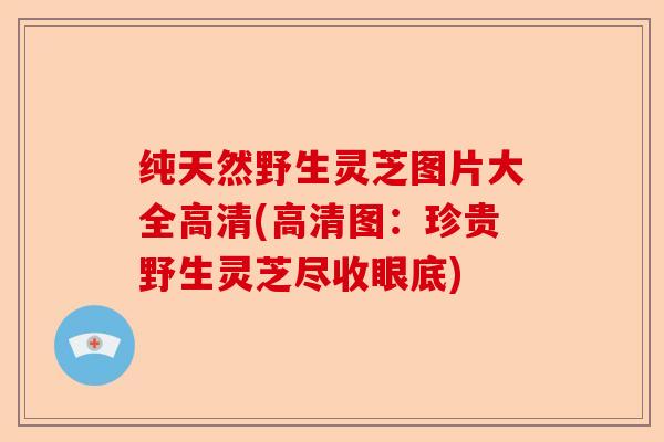 纯天然野生灵芝图片大全高清(高清图:珍贵野生灵芝尽收眼底)-第1张图片-卓越灵芝孢子粉 纯天然野生灵芝图片大全高清(高清图:珍贵野生灵芝尽收眼底)-第1张图片-卓越灵芝孢子粉
