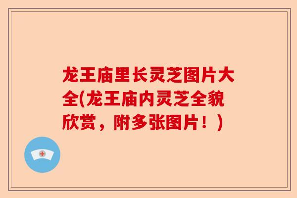 龙王庙里长灵芝图片大全(龙王庙内灵芝全貌欣赏,附多张图片!)-第1张图片-卓越灵芝孢子粉 龙王庙里长灵芝图片大全(龙王庙内灵芝全貌欣赏,附多张图片!)-第1张图片-卓越灵芝孢子粉