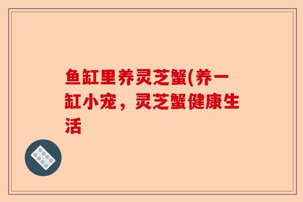 鱼缸里养灵芝蟹(养一缸小宠,灵芝蟹健康生活-第1张图片-卓越灵芝孢子粉 鱼缸里养灵芝蟹(养一缸小宠,灵芝蟹健康生活-第1张图片-卓越灵芝孢子粉