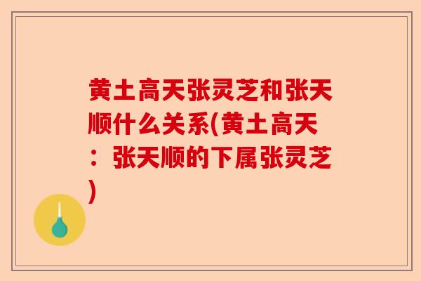 黄土高天张灵芝和张天顺什么关系(黄土高天：张天顺的下属张灵芝)-第1张图片-卓越灵芝孢子粉