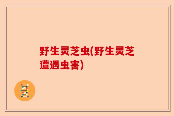 野生灵芝虫(野生灵芝遭遇虫害)-第1张图片-卓越灵芝孢子粉 野生灵芝虫(野生灵芝遭遇虫害)-第1张图片-卓越灵芝孢子粉