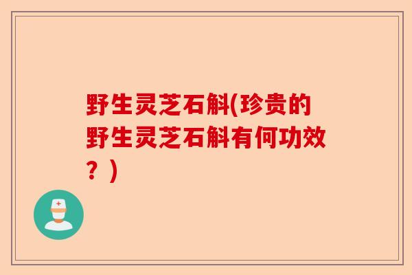 野生灵芝石斛(珍贵的野生灵芝石斛有何功效?)-第1张图片-卓越灵芝孢子粉 野生灵芝石斛(珍贵的野生灵芝石斛有何功效?)-第1张图片-卓越灵芝孢子粉
