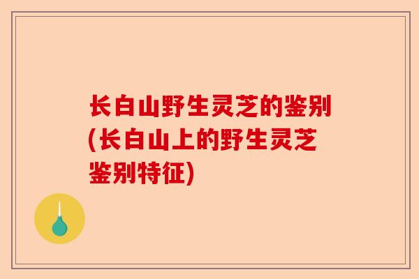 长白山野生灵芝的鉴别(长白山上的野生灵芝鉴别特征)-第1张图片-卓越灵芝孢子粉 长白山野生灵芝的鉴别(长白山上的野生灵芝鉴别特征)-第1张图片-卓越灵芝孢子粉