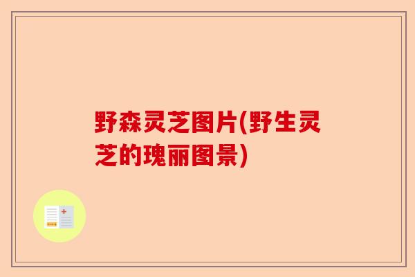 野森灵芝图片(野生灵芝的瑰丽图景)-第1张图片-卓越灵芝孢子粉 野森灵芝图片(野生灵芝的瑰丽图景)-第1张图片-卓越灵芝孢子粉
