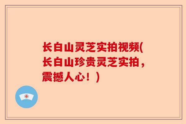 长白山灵芝实拍视频(长白山珍贵灵芝实拍,震撼人心!)-第1张图片-卓越灵芝孢子粉 长白山灵芝实拍视频(长白山珍贵灵芝实拍,震撼人心!)-第1张图片-卓越灵芝孢子粉