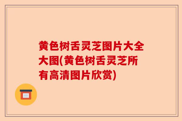 黄色树舌灵芝图片大全大图(黄色树舌灵芝所有高清图片欣赏)-第1张图片-卓越灵芝孢子粉 黄色树舌灵芝图片大全大图(黄色树舌灵芝所有高清图片欣赏)-第1张图片-卓越灵芝孢子粉