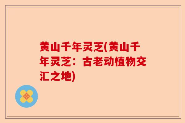 黄山千年灵芝(黄山千年灵芝:古老动植物交汇之地)-第1张图片-卓越灵芝孢子粉 黄山千年灵芝(黄山千年灵芝:古老动植物交汇之地)-第1张图片-卓越灵芝孢子粉