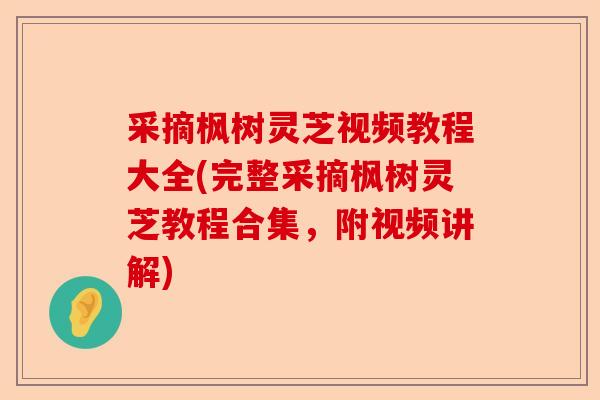 采摘枫树灵芝视频教程大全(完整采摘枫树灵芝教程合集，附视频讲解)-第1张图片-卓越灵芝孢子粉