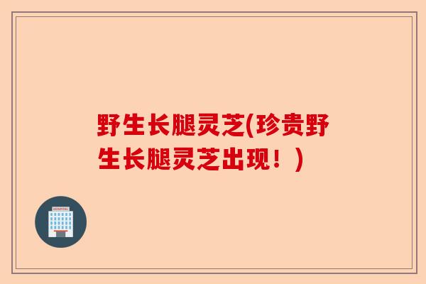 野生长腿灵芝(珍贵野生长腿灵芝出现！)-第1张图片-卓越灵芝孢子粉