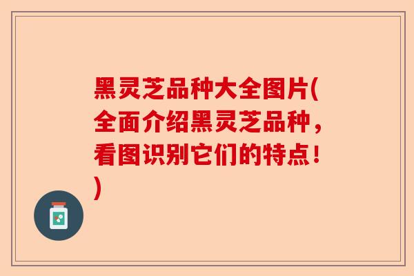 黑灵芝品种大全图片(全面介绍黑灵芝品种，看图识别它们的特点！)-第1张图片-卓越灵芝孢子粉