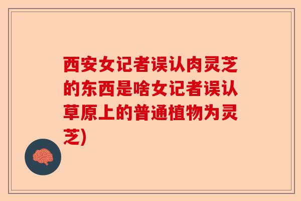 西安女记者误认肉灵芝的东西是啥女记者误认草原上的普通植物为灵芝)-第1张图片-卓越灵芝孢子粉 西安女记者误认肉灵芝的东西是啥女记者误认草原上的普通植物为灵芝)-第1张图片-卓越灵芝孢子粉