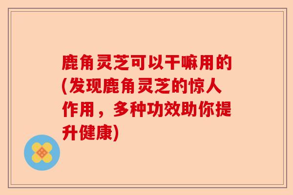 鹿角灵芝可以干嘛用的(发现鹿角灵芝的惊人作用,多种功效助你提升健康)-第1张图片-卓越灵芝孢子粉 鹿角灵芝可以干嘛用的(发现鹿角灵芝的惊人作用,多种功效助你提升健康)-第1张图片-卓越灵芝孢子粉