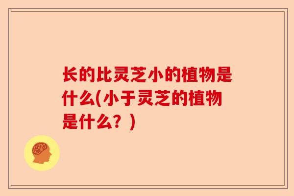 长的比灵芝小的植物是什么(小于灵芝的植物是什么?)-第1张图片-卓越灵芝孢子粉 长的比灵芝小的植物是什么(小于灵芝的植物是什么?)-第1张图片-卓越灵芝孢子粉