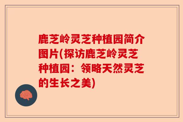 鹿芝岭灵芝种植园简介图片(探访鹿芝岭灵芝种植园:领略天然灵芝的生长之美)-第1张图片-卓越灵芝孢子粉 鹿芝岭灵芝种植园简介图片(探访鹿芝岭灵芝种植园:领略天然灵芝的生长之美)-第1张图片-卓越灵芝孢子粉
