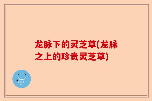 龙脉下的灵芝草(龙脉之上的珍贵灵芝草)-第1张图片-卓越灵芝孢子粉