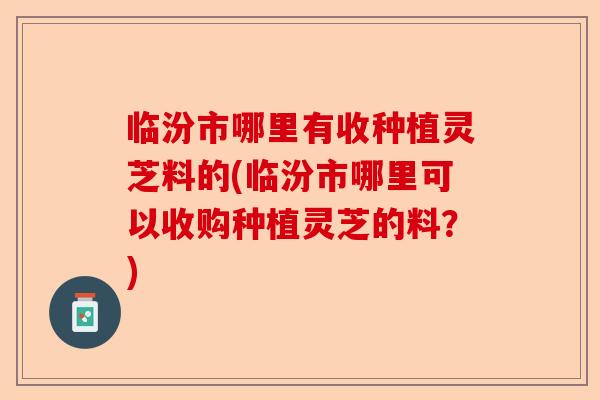 临汾市哪里有收种植灵芝料的(临汾市哪里可以收购种植灵芝的料?)-第1张图片-卓越灵芝孢子粉 临汾市哪里有收种植灵芝料的(临汾市哪里可以收购种植灵芝的料?)-第1张图片-卓越灵芝孢子粉