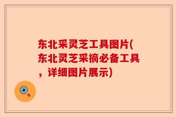 东北采灵芝工具图片(东北灵芝采摘必备工具,详细图片展示)-第1张图片-卓越灵芝孢子粉 东北采灵芝工具图片(东北灵芝采摘必备工具,详细图片展示)-第1张图片-卓越灵芝孢子粉