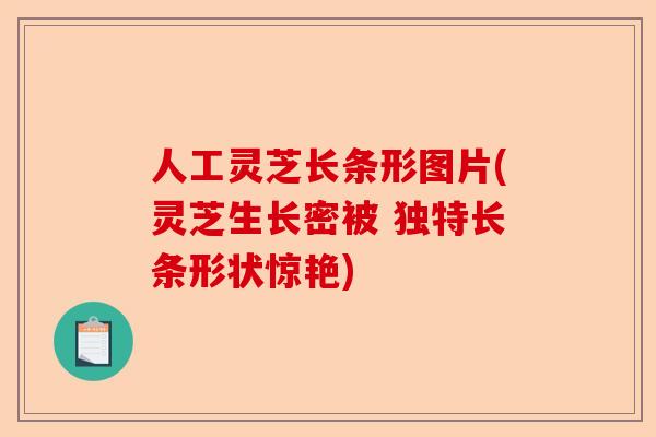 人工灵芝长条形图片(灵芝生长密被 独特长条形状惊艳)-第1张图片-卓越灵芝孢子粉