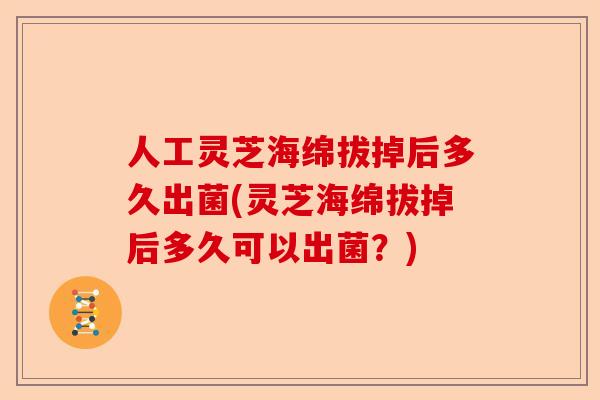人工灵芝海绵拔掉后多久出菌(灵芝海绵拔掉后多久可以出菌？)-第1张图片-卓越灵芝孢子粉