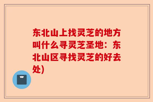 东北山上找灵芝的地方叫什么寻灵芝圣地：东北山区寻找灵芝的好去处)-第1张图片-卓越灵芝孢子粉