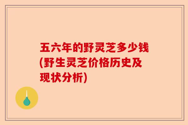 五六年的野灵芝多少钱(野生灵芝价格历史及现状分析)-第1张图片-卓越灵芝孢子粉