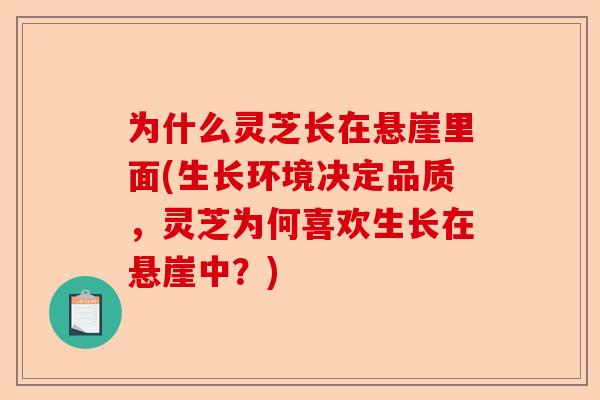 为什么灵芝长在悬崖里面(生长环境决定品质，灵芝为何喜欢生长在悬崖中？)-第1张图片-卓越灵芝孢子粉