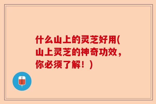 什么山上的灵芝好用(山上灵芝的神奇功效，你必须了解！)-第1张图片-卓越灵芝孢子粉