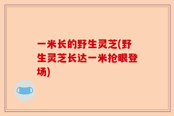 一米长的野生灵芝(野生灵芝长达一米抢眼登场)-第1张图片-卓越灵芝孢子粉 一米长的野生灵芝(野生灵芝长达一米抢眼登场)-第1张图片-卓越灵芝孢子粉