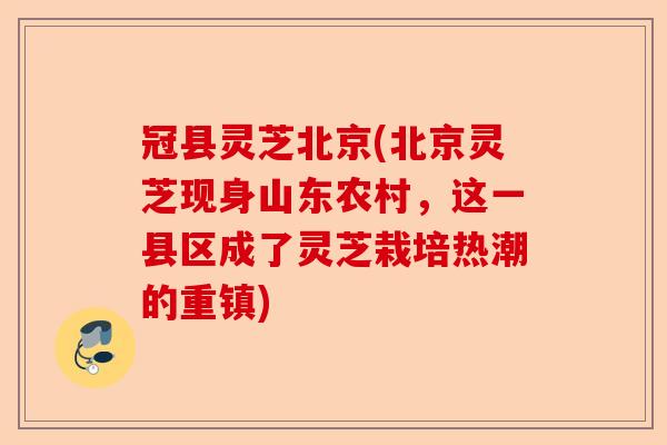 冠县灵芝北京(北京灵芝现身山东农村，这一县区成了灵芝栽培热潮的重镇)-第1张图片-卓越灵芝孢子粉