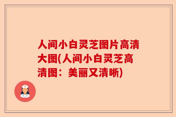 人间小白灵芝图片高清大图(人间小白灵芝高清图：美丽又清晰)-第1张图片-卓越灵芝孢子粉