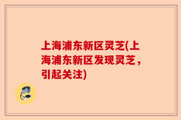 上海浦东新区灵芝(上海浦东新区发现灵芝，引起关注)-第1张图片-卓越灵芝孢子粉