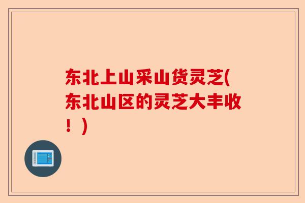 东北上山采山货灵芝(东北山区的灵芝大丰收!)-第1张图片-卓越灵芝孢子粉 东北上山采山货灵芝(东北山区的灵芝大丰收!)-第1张图片-卓越灵芝孢子粉