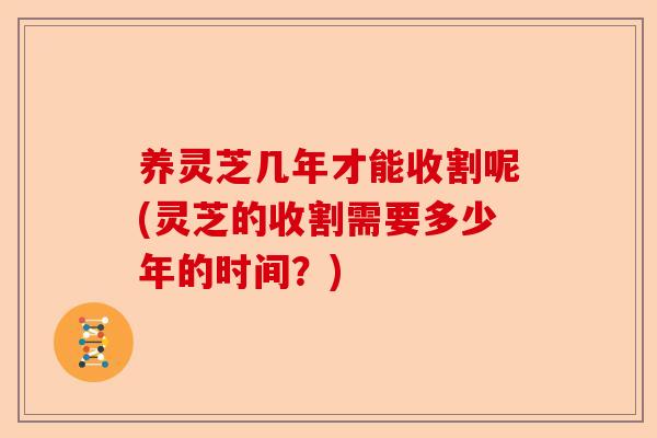 养灵芝几年才能收割呢(灵芝的收割需要多少年的时间？)-第1张图片-卓越灵芝孢子粉