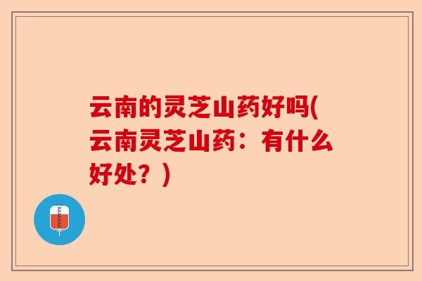 云南的灵芝山药好吗(云南灵芝山药:有什么好处?)-第1张图片-卓越灵芝孢子粉 云南的灵芝山药好吗(云南灵芝山药:有什么好处?)-第1张图片-卓越灵芝孢子粉