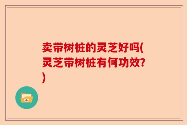 卖带树桩的灵芝好吗(灵芝带树桩有何功效？)-第1张图片-卓越灵芝孢子粉