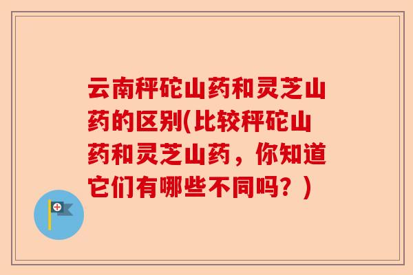 云南秤砣山药和灵芝山药的区别(比较秤砣山药和灵芝山药,你知道它们有哪些不同吗?)-第1张图片-卓越灵芝孢子粉 云南秤砣山药和灵芝山药的区别(比较秤砣山药和灵芝山药,你知道它们有哪些不同吗?)-第1张图片-卓越灵芝孢子粉