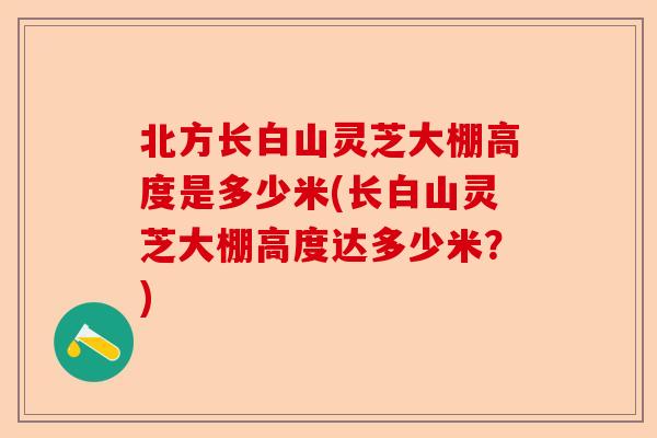 北方长白山灵芝大棚高度是多少米(长白山灵芝大棚高度达多少米?)-第1张图片-卓越灵芝孢子粉 北方长白山灵芝大棚高度是多少米(长白山灵芝大棚高度达多少米?)-第1张图片-卓越灵芝孢子粉