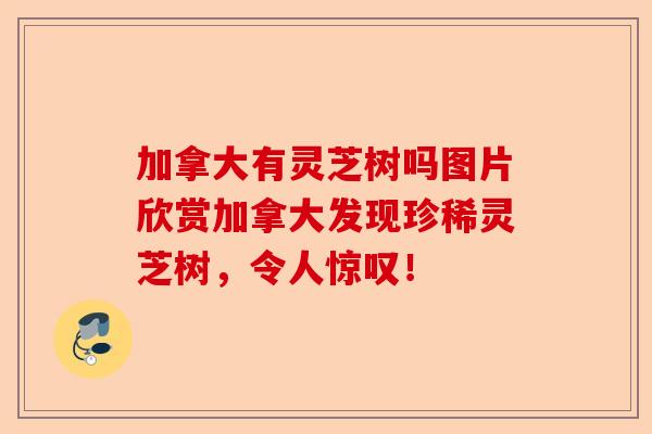 加拿大有灵芝树吗图片欣赏加拿大发现珍稀灵芝树，令人惊叹！-第1张图片-卓越灵芝孢子粉