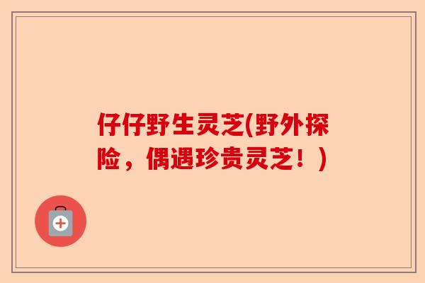 仔仔野生灵芝(野外探险，偶遇珍贵灵芝！)-第1张图片-卓越灵芝孢子粉