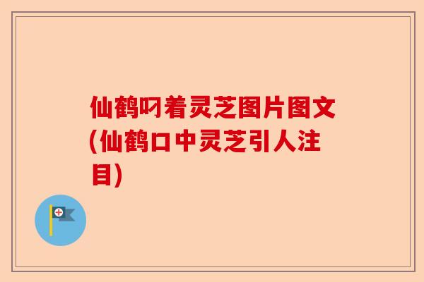 仙鹤叼着灵芝图片图文(仙鹤口中灵芝引人注目)-第1张图片-卓越灵芝孢子粉