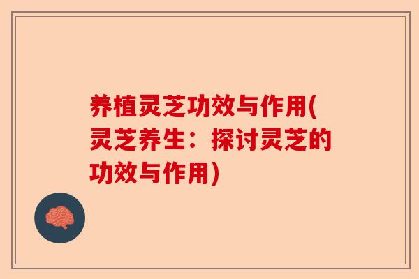养植灵芝功效与作用(灵芝养生:探讨灵芝的功效与作用)-第1张图片-卓越灵芝孢子粉 养植灵芝功效与作用(灵芝养生:探讨灵芝的功效与作用)-第1张图片-卓越灵芝孢子粉