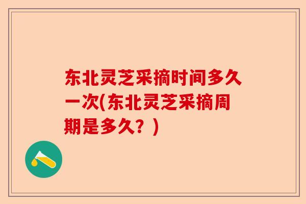 东北灵芝采摘时间多久一次(东北灵芝采摘周期是多久?)-第1张图片-卓越灵芝孢子粉 东北灵芝采摘时间多久一次(东北灵芝采摘周期是多久?)-第1张图片-卓越灵芝孢子粉